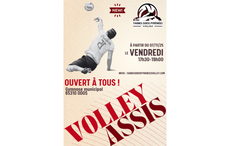 Volley assis